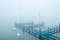 Photographie - Boris Dunand (www.borisdunand.ch)