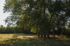 Photographie - Boris Dunand (www.borisdunand.ch)