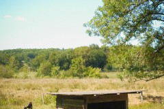 Photographie - Boris Dunand (www.borisdunand.ch)