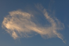 Photographie - Boris Dunand (www.borisdunand.ch)