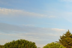 Photographie - Boris Dunand (www.borisdunand.ch)