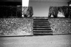 Photographie - Boris Dunand (www.borisdunand.ch)