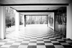 Photographie - Boris Dunand (www.borisdunand.ch)