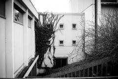Photographie - Boris Dunand (www.borisdunand.ch)