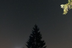 Photographie - Boris Dunand (www.borisdunand.ch)