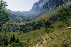 Photographie - Boris Dunand (www.borisdunand.ch)