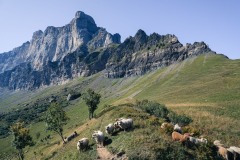 Photographie - Boris Dunand (www.borisdunand.ch)