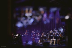 2018_07_THEMINGUSBIGBAND__borisdunand_web_22