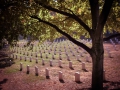 Washington DC