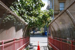 Photographie - Boris Dunand (www.borisdunand.ch)