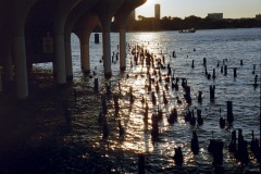 Photographie - Boris Dunand (www.borisdunand.ch)