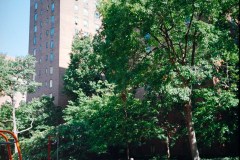 Photographie - Boris Dunand (www.borisdunand.ch)