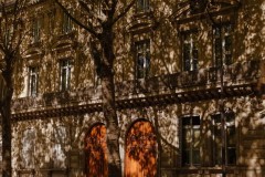 Photographie - Boris Dunand (www.borisdunand.ch)