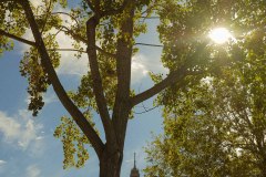 Photographie - Boris Dunand (www.borisdunand.ch)