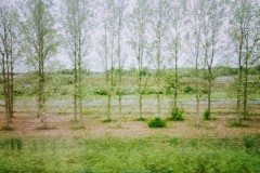 Photographie - Boris Dunand (www.borisdunand.ch)