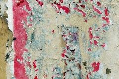 Photographie - Boris Dunand (www.borisdunand.ch)