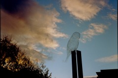 Photographie - Boris Dunand (www.borisdunand.ch)