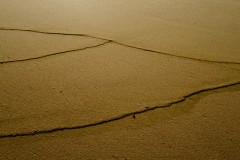 Photographie - Boris Dunand (www.borisdunand.ch)