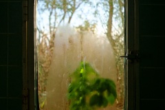 Photographie - Boris Dunand (www.borisdunand.ch)