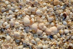 Photographie - Boris Dunand (www.borisdunand.ch)