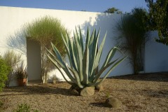 Photographie - Boris Dunand (www.borisdunand.ch)