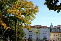 Photographie - Boris Dunand (www.borisdunand.ch)