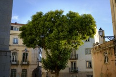 Photographie - Boris Dunand (www.borisdunand.ch)