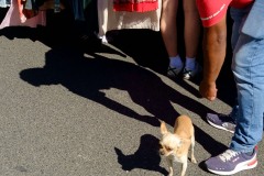 Photographie - Boris Dunand (www.borisdunand.ch)