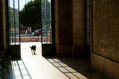 Photographie - Boris Dunand (www.borisdunand.ch)