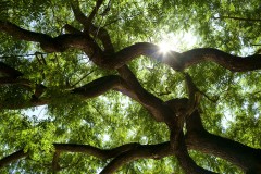 Photographie - Boris Dunand (www.borisdunand.ch)