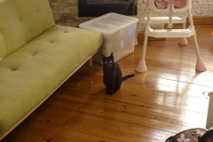 Photographie - Boris Dunand (www.borisdunand.ch)