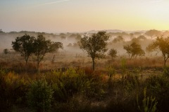 Photographie - Boris Dunand (www.borisdunand.ch)