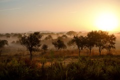 Photographie - Boris Dunand (www.borisdunand.ch)