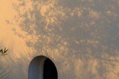 Photographie - Boris Dunand (www.borisdunand.ch)