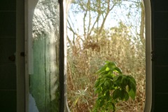 Photographie - Boris Dunand (www.borisdunand.ch)