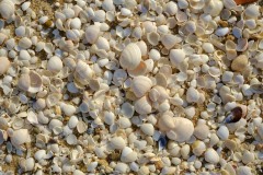 Photographie - Boris Dunand (www.borisdunand.ch)