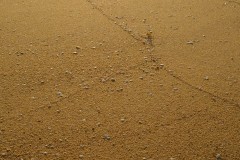 Photographie - Boris Dunand (www.borisdunand.ch)