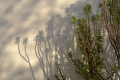 Photographie - Boris Dunand (www.borisdunand.ch)