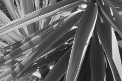 Photographie - Boris Dunand (www.borisdunand.ch)