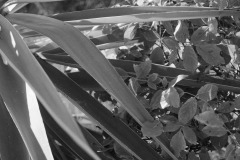 Photographie - Boris Dunand (www.borisdunand.ch)