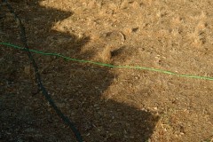 Photographie - Boris Dunand (www.borisdunand.ch)