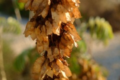 Photographie - Boris Dunand (www.borisdunand.ch)