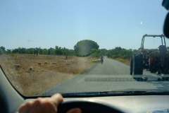 Photographie - Boris Dunand (www.borisdunand.ch)