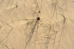 Photographie - Boris Dunand (www.borisdunand.ch)