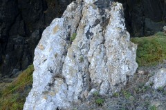 Photographie - Boris Dunand (www.borisdunand.ch)