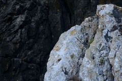 Photographie - Boris Dunand (www.borisdunand.ch)