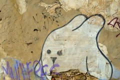 Photographie - Boris Dunand (www.borisdunand.ch)