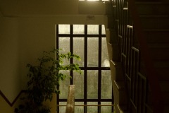 Photographie - Boris Dunand (www.borisdunand.ch)