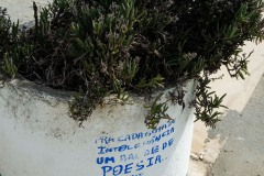 Photographie - Boris Dunand (www.borisdunand.ch)