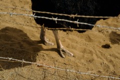 Photographie - Boris Dunand (www.borisdunand.ch)